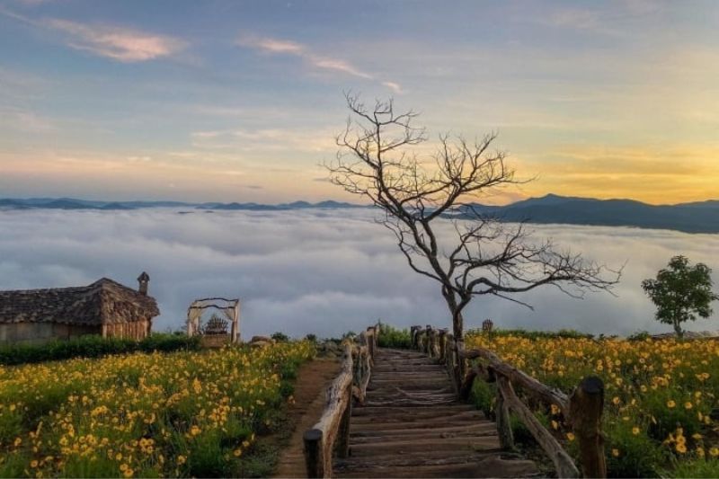 10 beautiful and romantic clould hunting destinations in Da Lat are currently the hottest